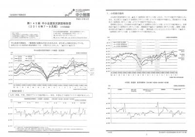 第１４５回中小企業景況調査報告書（２０１６年７－９月期　小売業）