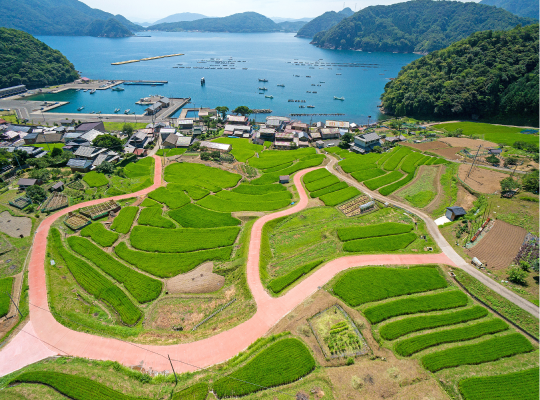 日引の棚田