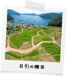 日引の棚田